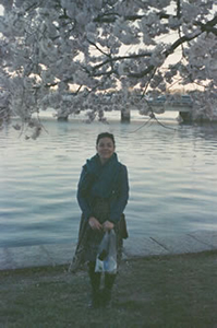 #29　アメリカにある桜祭り