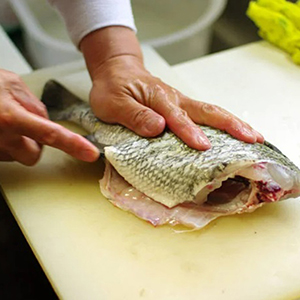 はじめてのドキワク体験「魚のさばき方」