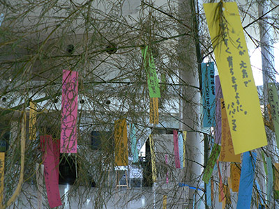 七夕かざり ２枚目