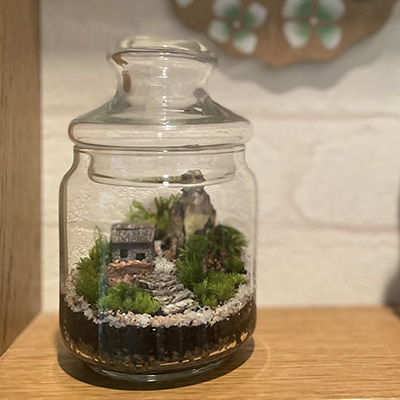 はじめてのドキワク体験♪「苔テラリウムづくり」 ２枚目